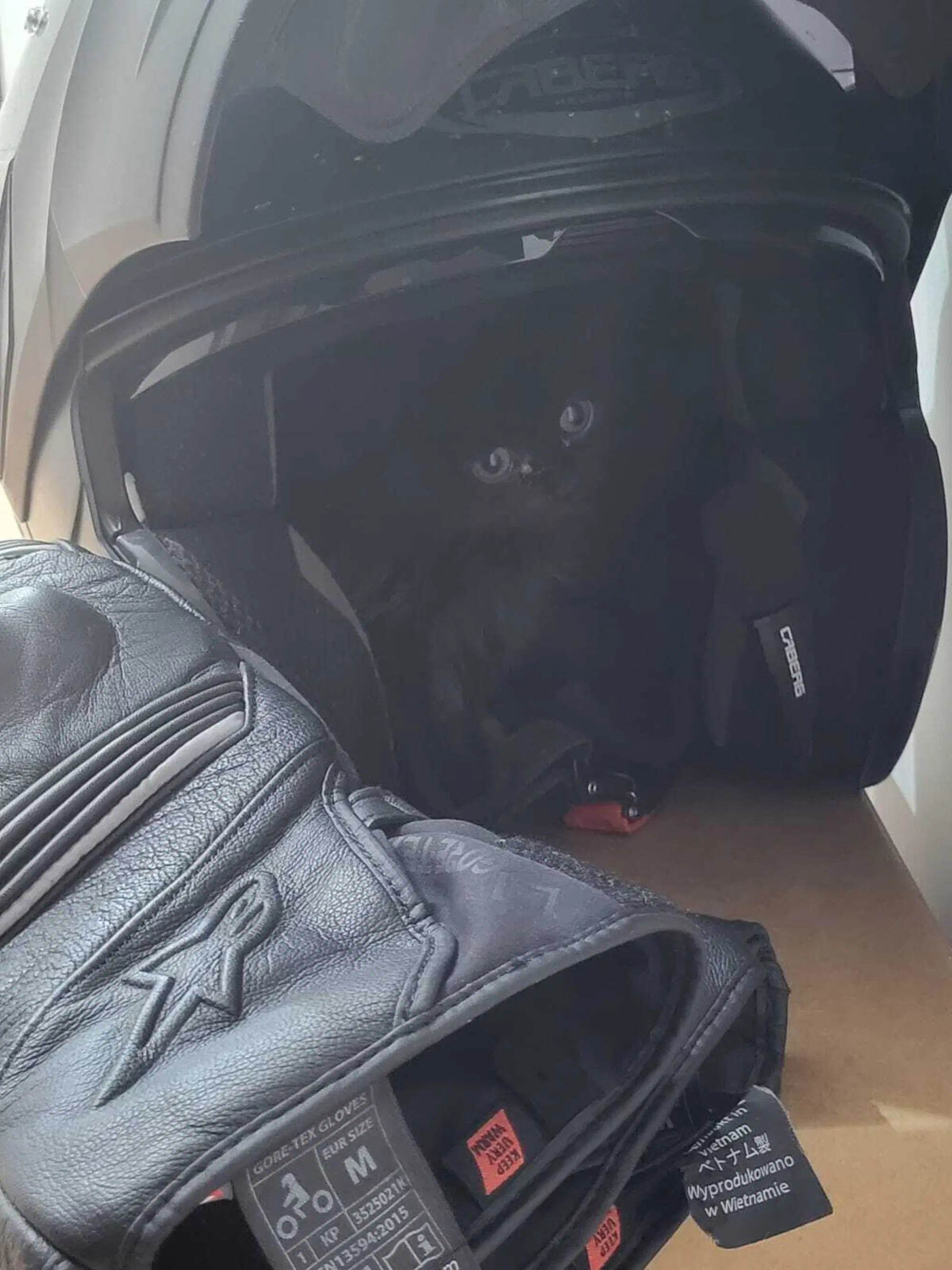 20240519 133057272 7769