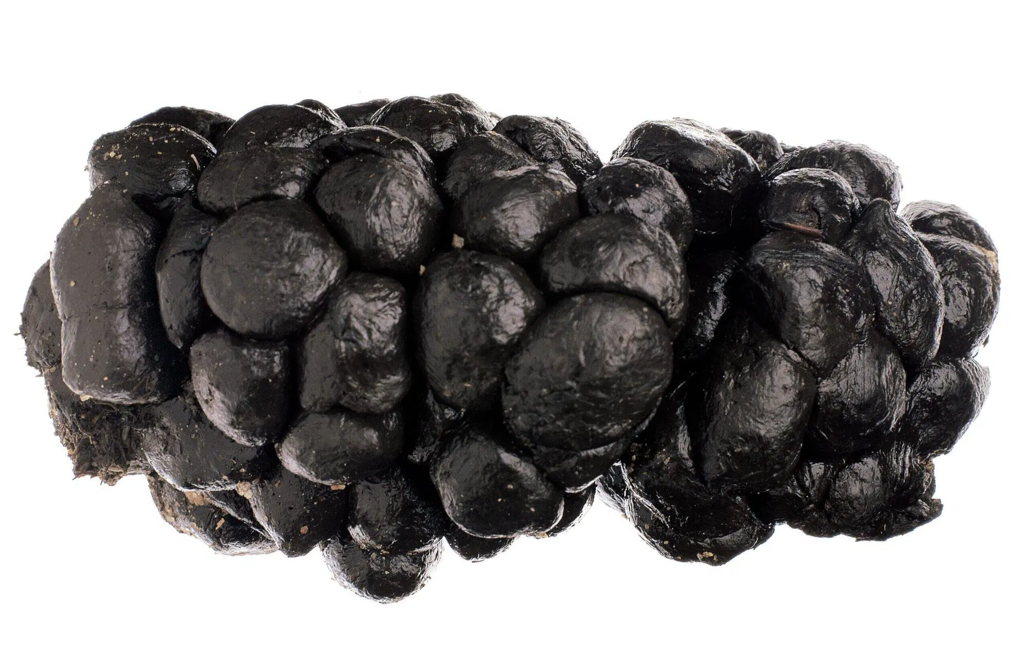 Oliviero Toscani, l'unico che si poteva permettere di far diventare bella la mer*a