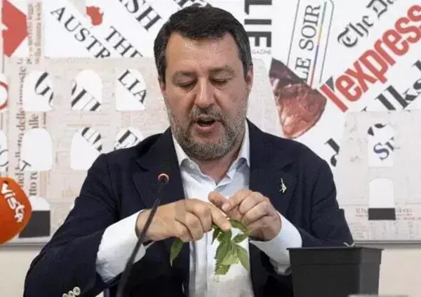 Cannabis light illegale? Naike Rivelli: &ldquo;Allora perch&eacute; non proibire anche basilico, camomilla e soprattutto l'alcol? Cosa c'&egrave; dietro a questo odio insensato?&rdquo;