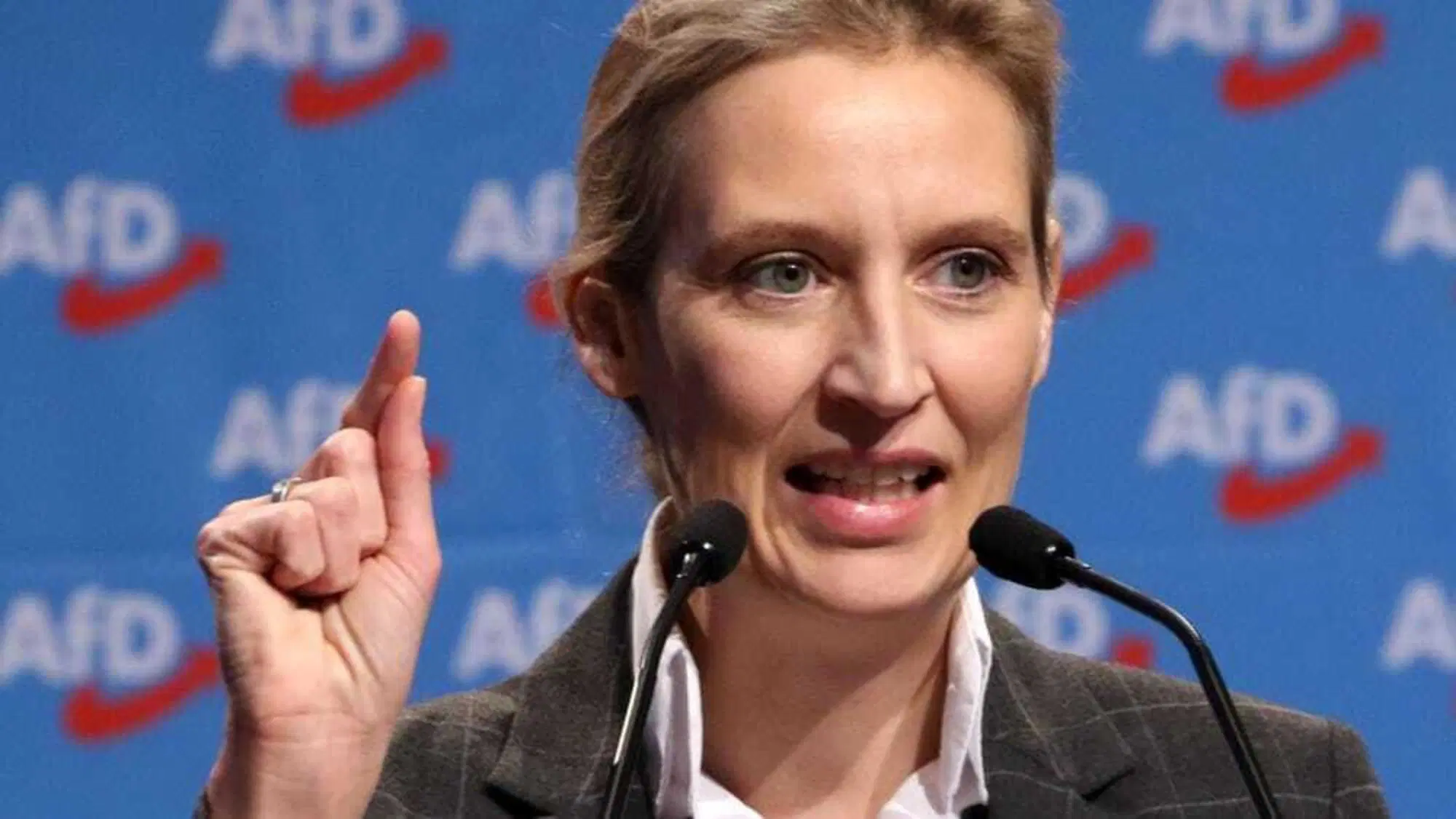 Alice Weidel, leader dell'Afd