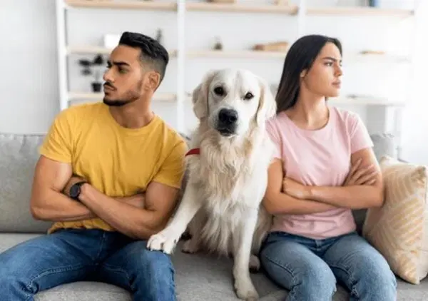 Metteresti fine alla relazione se al tuo cane o gatto non piacesse il partner? Per oltre la met&agrave; degli italiani s&igrave;. Ecco cinque motivi per i quali non &egrave; una follia&hellip; 