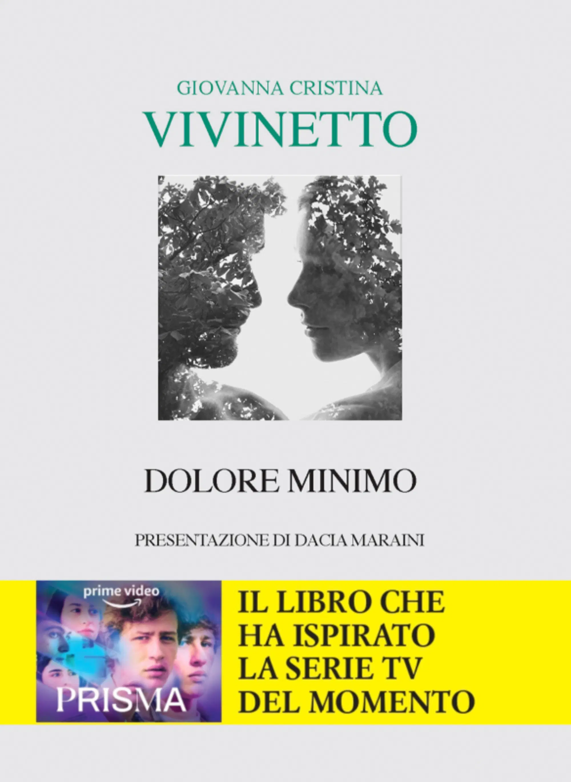 "Dolore minimo" di Giovanna Cristina Vivinetto