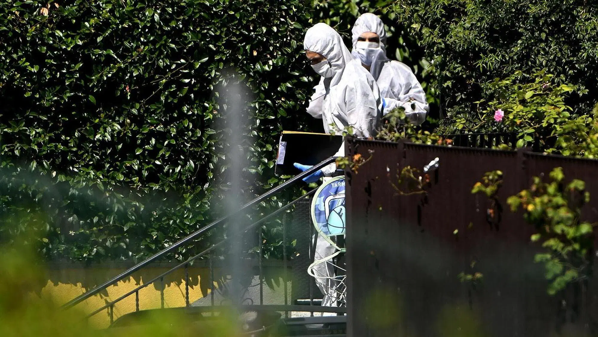 I Ris di Parma all'opera nella villetta di Traversetolo