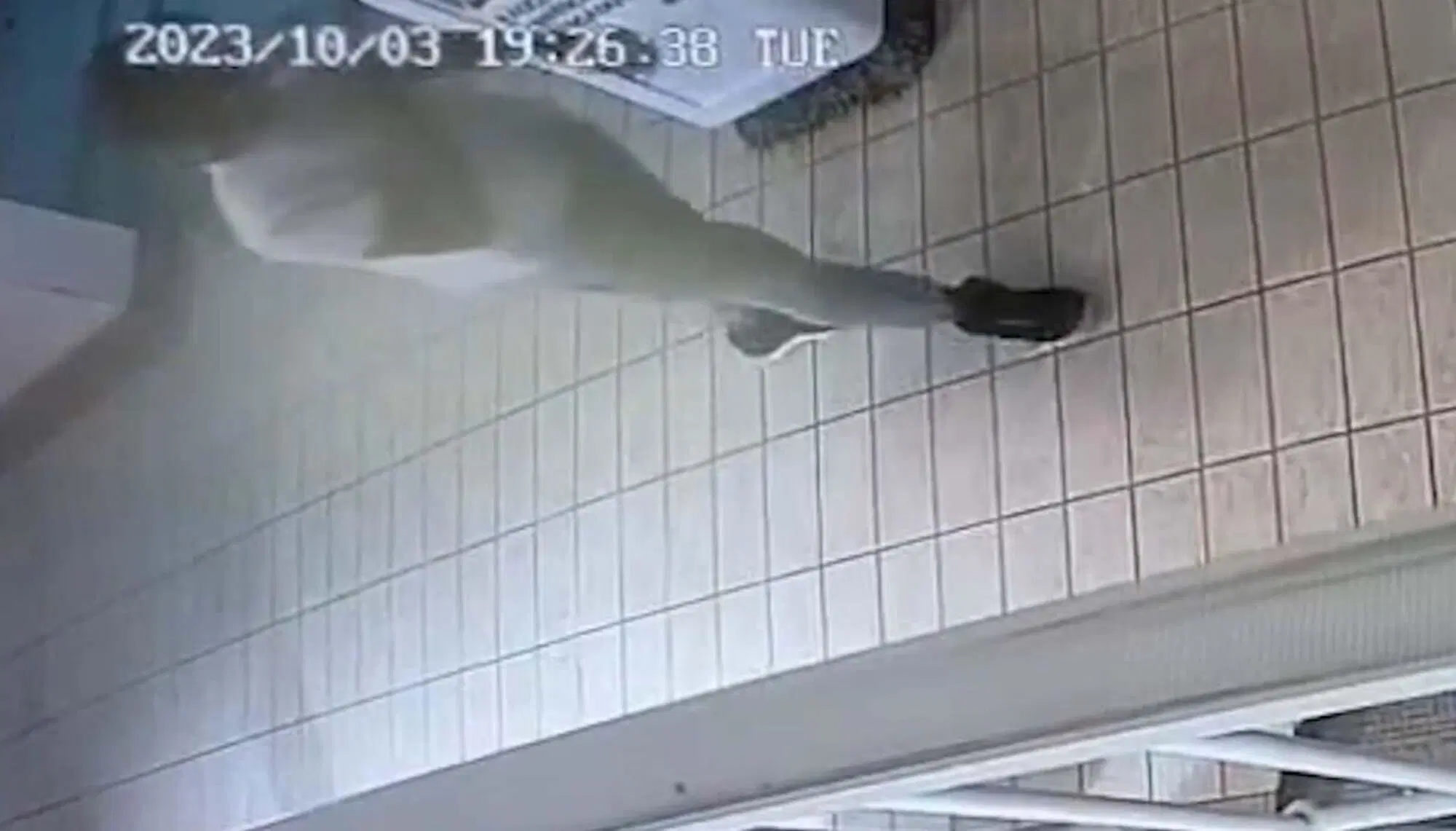 Il video poche ore prima dell'omicidio. &Egrave; Louis Dassilva?