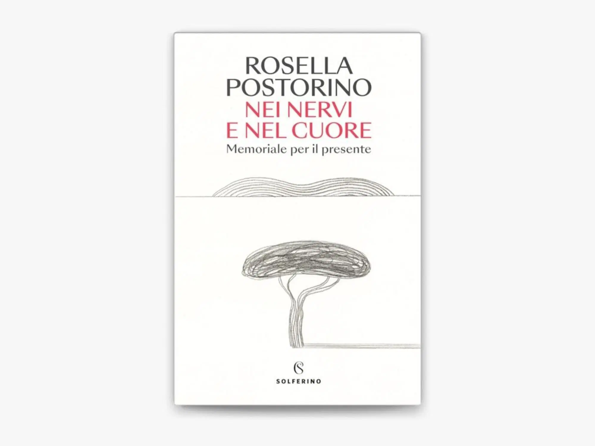 "Nei nervi e nel cuore" di Rosella Postorino (Solferino 2024)