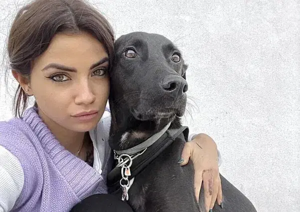 "Datemi 6mila euro o il mio cane muore!". Ma poi Eleonora Rocchini va in vacanza in Kenya?