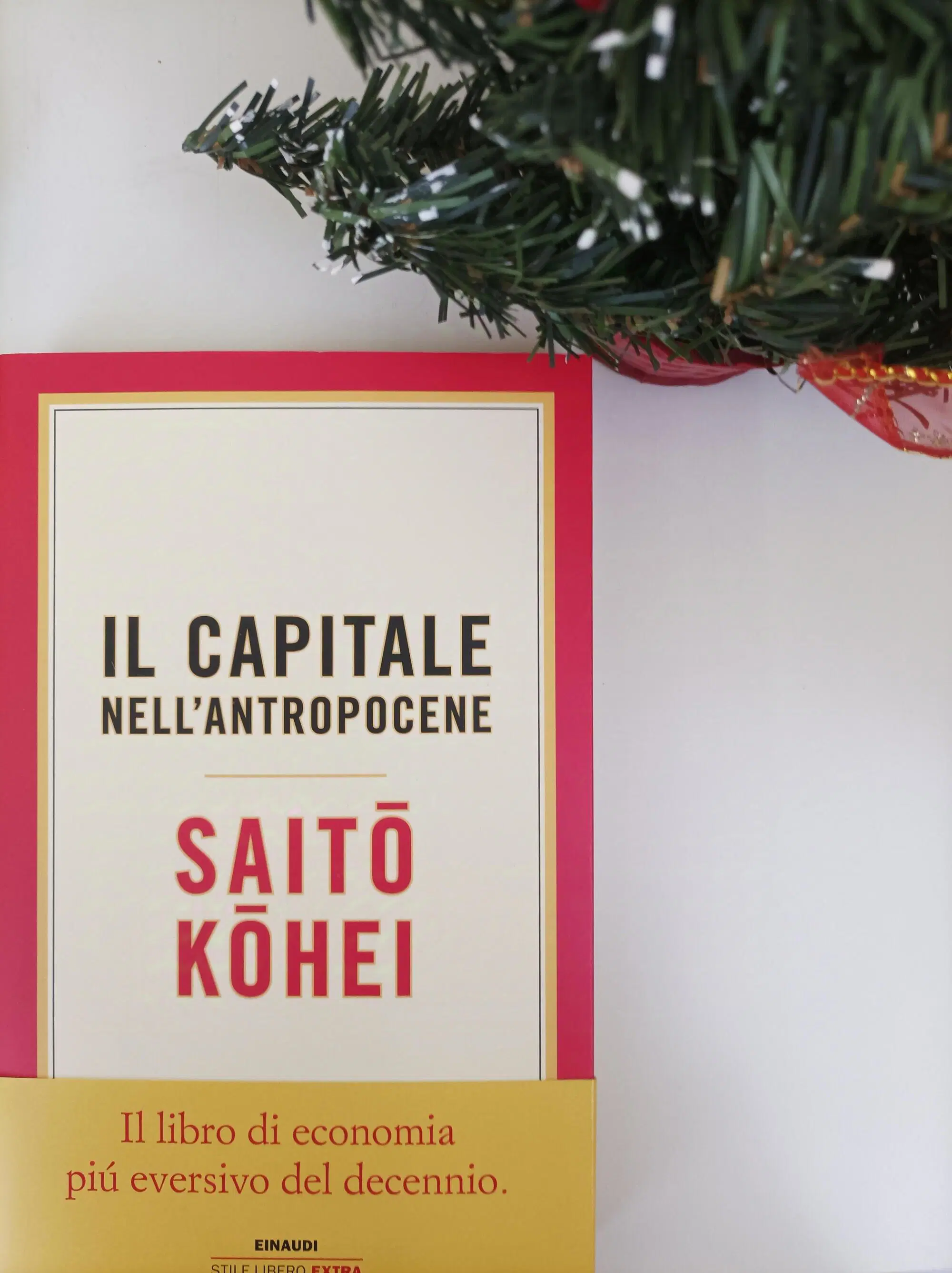 Il capitale nell'antropocene