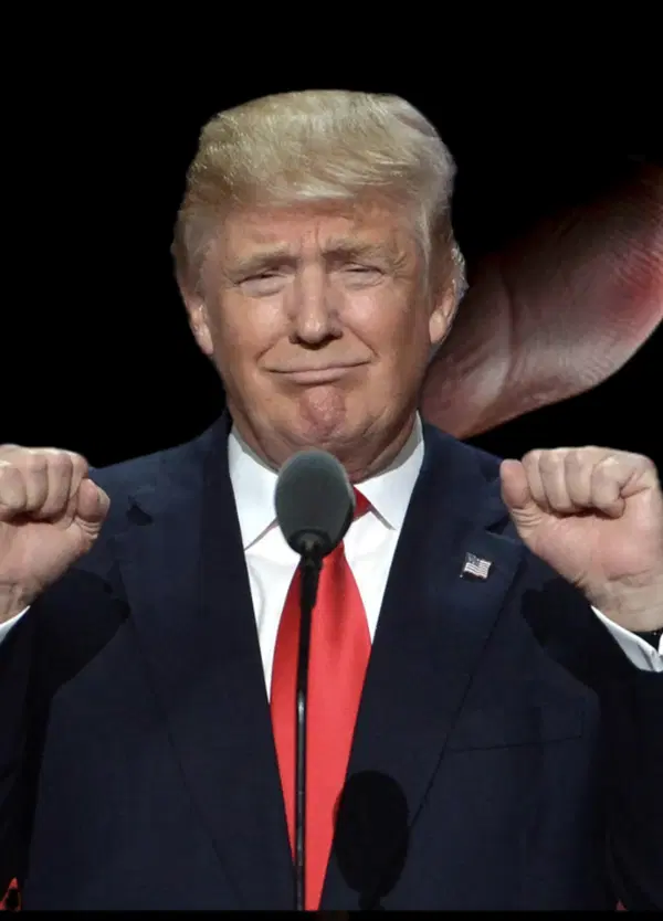 Trump si insedia e TikTok torna a funzionare. Marketing o mossa politica? &ldquo;Donald ha distrutto i democratici per i prossimi 10 anni&rdquo;, spiega il content creator The Jashi Project: ecco cosa &egrave; successo