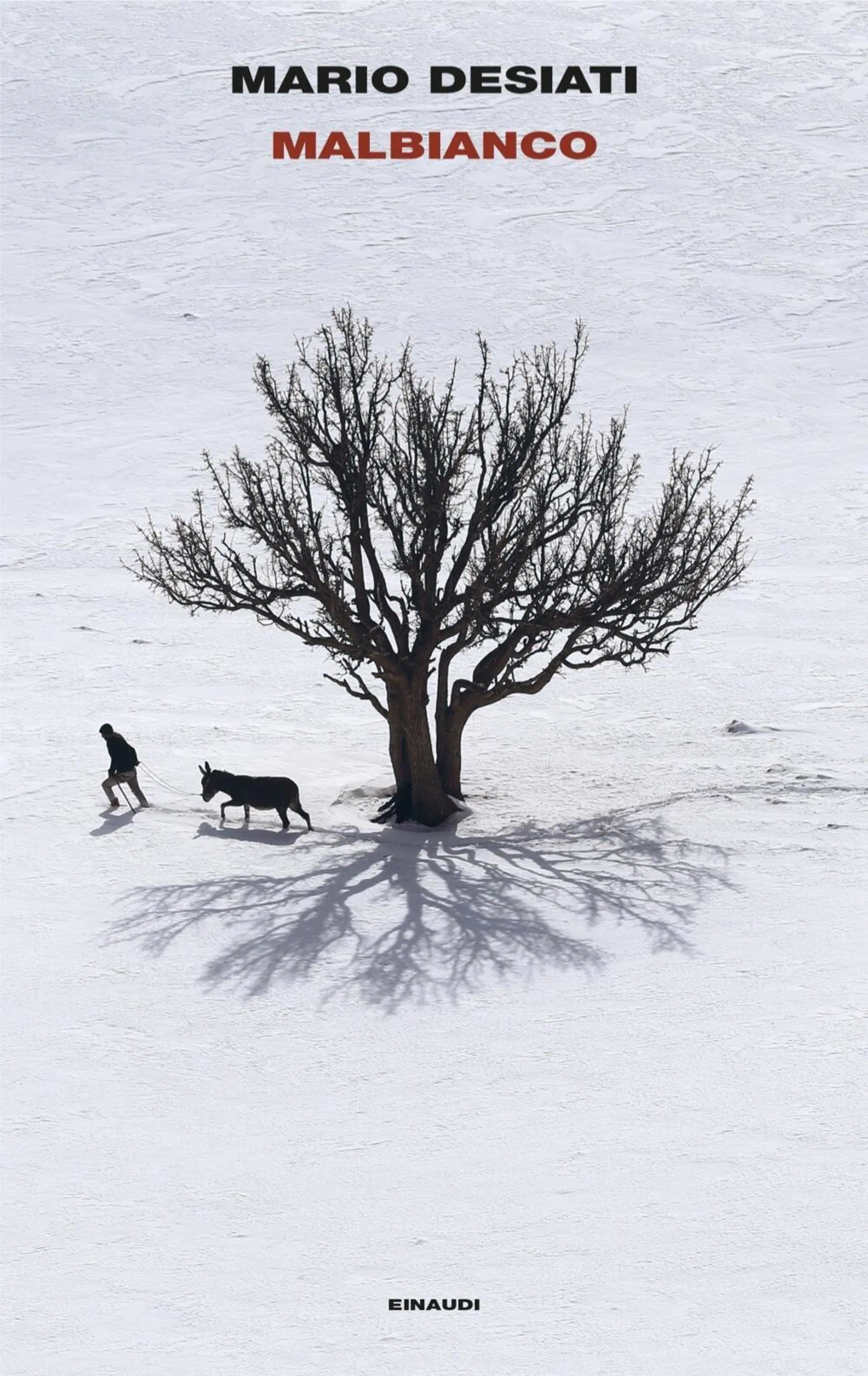 "Malbianco" di Mario Desiati (Einaudi, 2025)