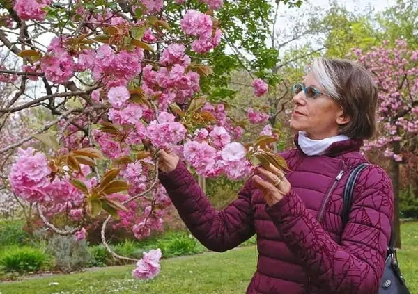 Omicidio Liliana Resinovich, la vicina Gabriella Micheli a Quarto Grado: &ldquo;Perch&eacute; non hanno mai chiamato i familiari di Sebastiano Visintin?&rdquo; L&rsquo;assassino? &ldquo;&Egrave; stato sicuramente aiutato&rdquo;. E avete visto la perizia medica di Barisani?