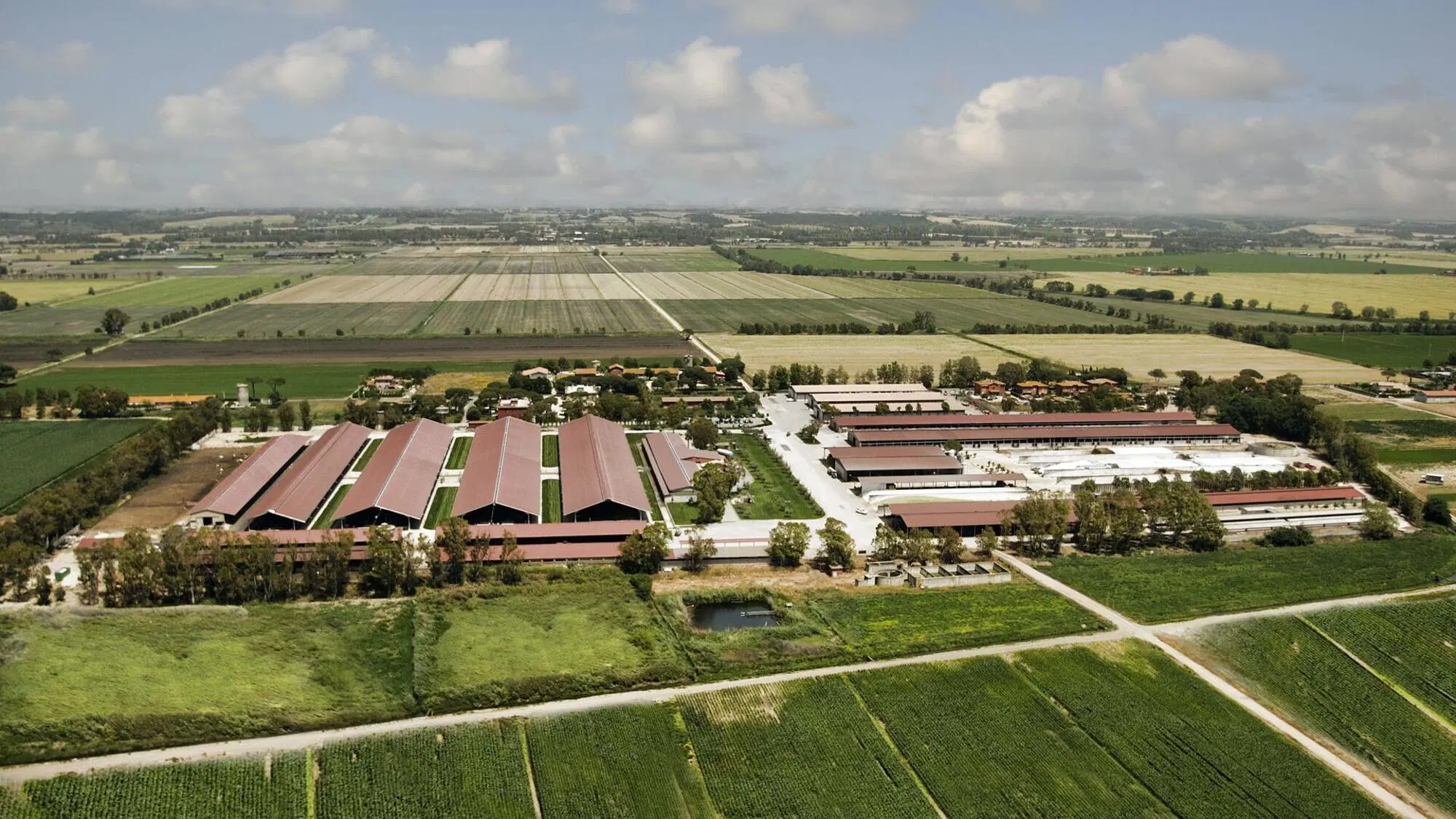 L'azienda Maccarese