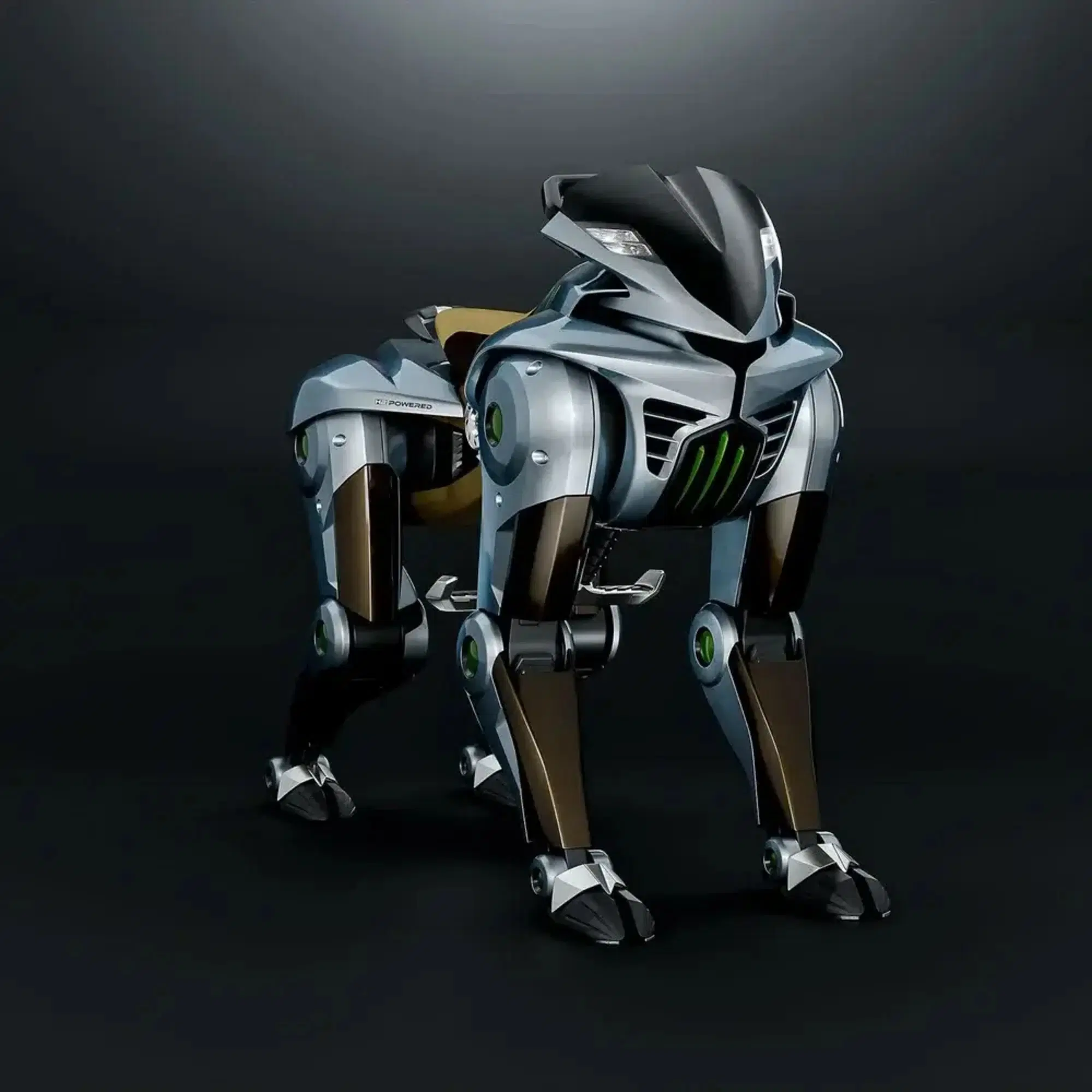 Kawasaky "Corleo"