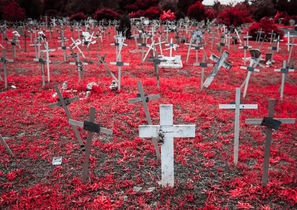 Ma lo sapete che al Flaminio di Roma c&rsquo;&egrave; un cimitero di feti? Parla Gabriele Barbati, autore di &ldquo;Contro la mia volont&agrave;&rdquo;, un&rsquo;inchiesta assurda che parte da una semplice domanda: che fine fanno i &ldquo;corpi&rdquo; dei bambini dopo l&rsquo;aborto?