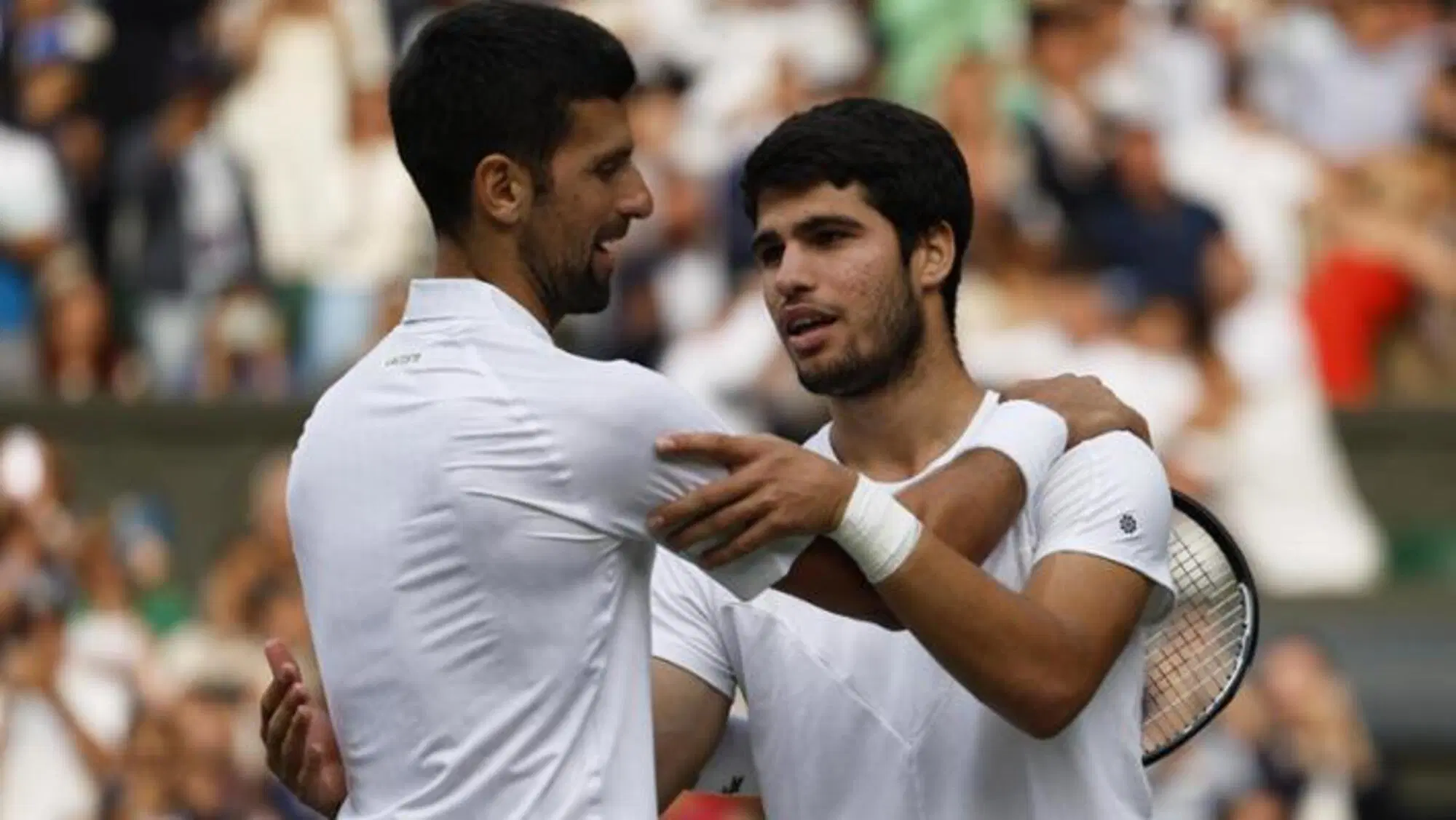 Carlos Alcaraz e Novak Djokovic