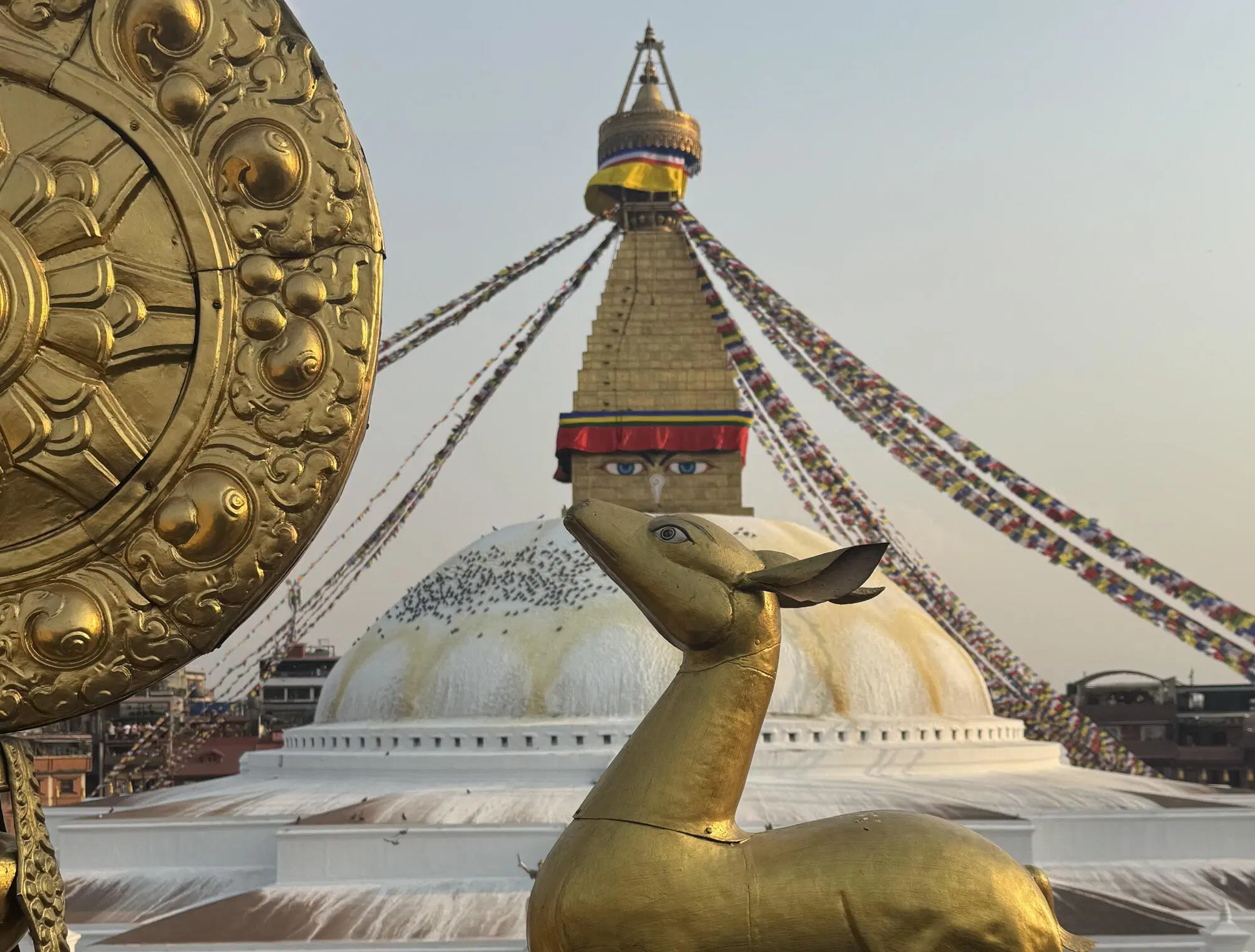 20250511 172623296 7549