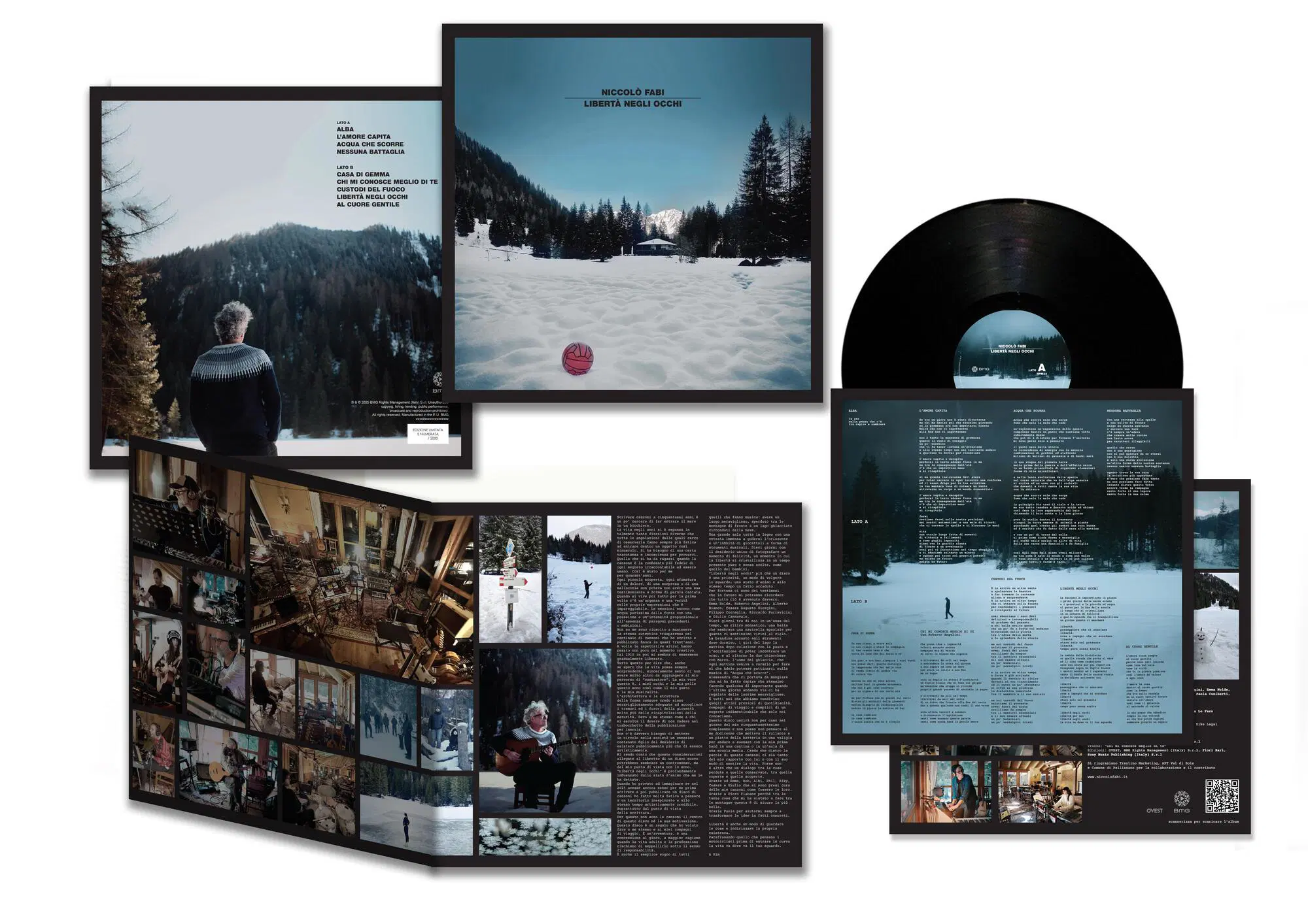 Il disco in vinile Libert&agrave; negli occhi di Niccol&ograve; Fabi