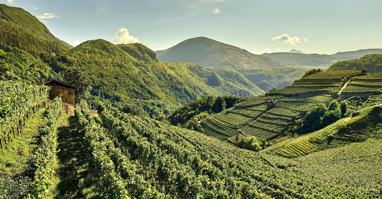 Siamo stati in Val di Cembra (Trentino) per scoprire Cembra Cantina di Montagna e i suoi vini. Ecco com'&egrave; andata la nostra visita tra i vigneti verticali