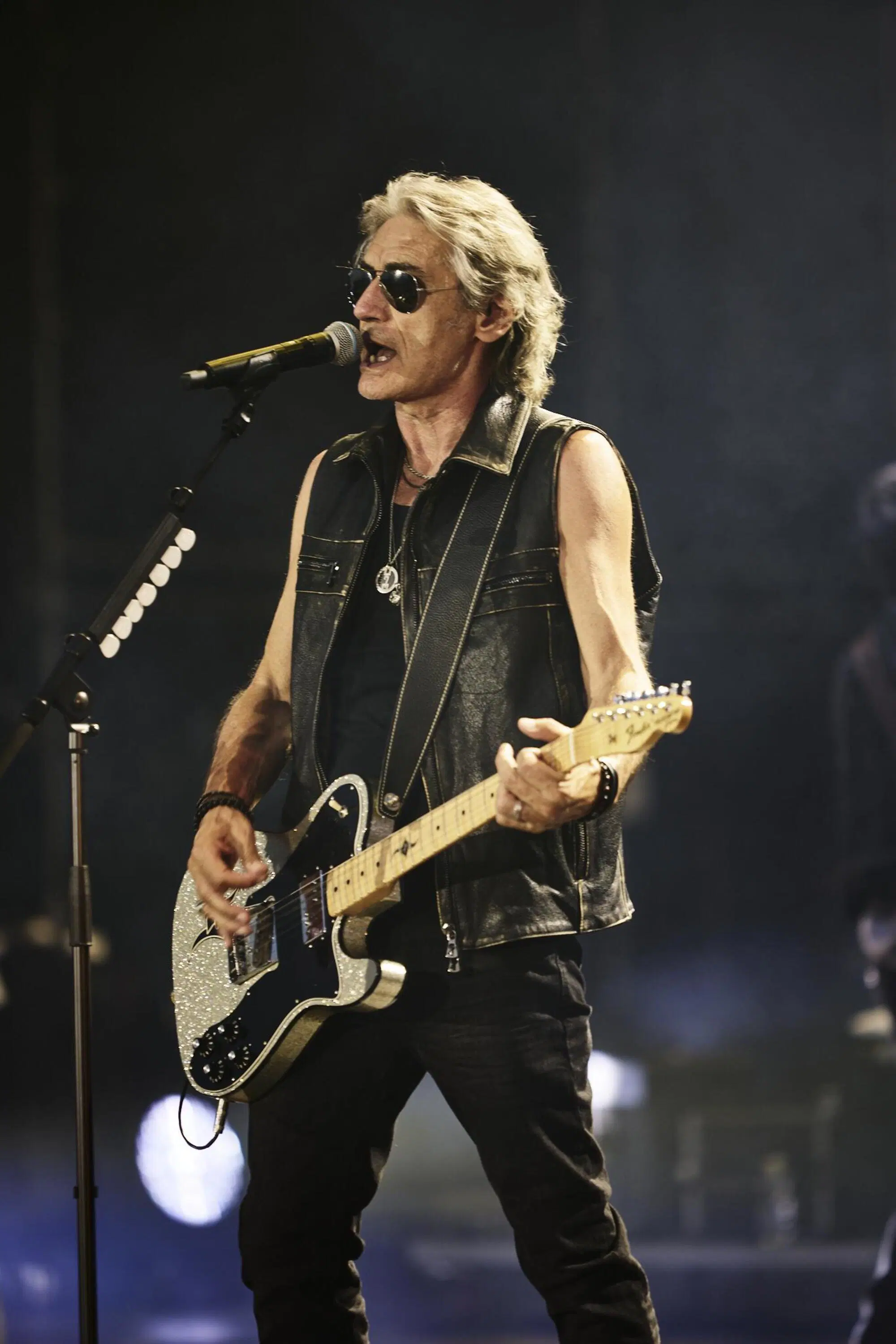 Luciano Ligabue Concerto Campovolo RCF Arena Reggio Emilia
