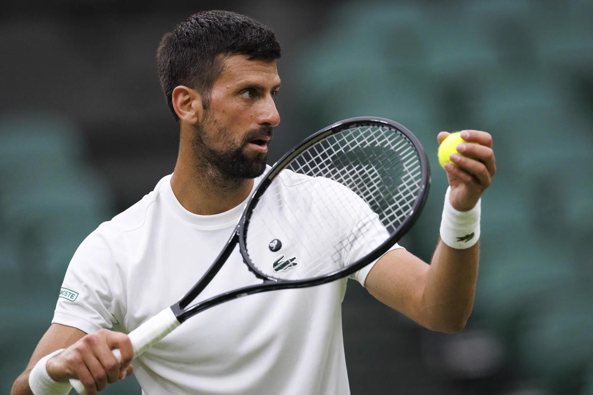 Djokovic a Wimbledon