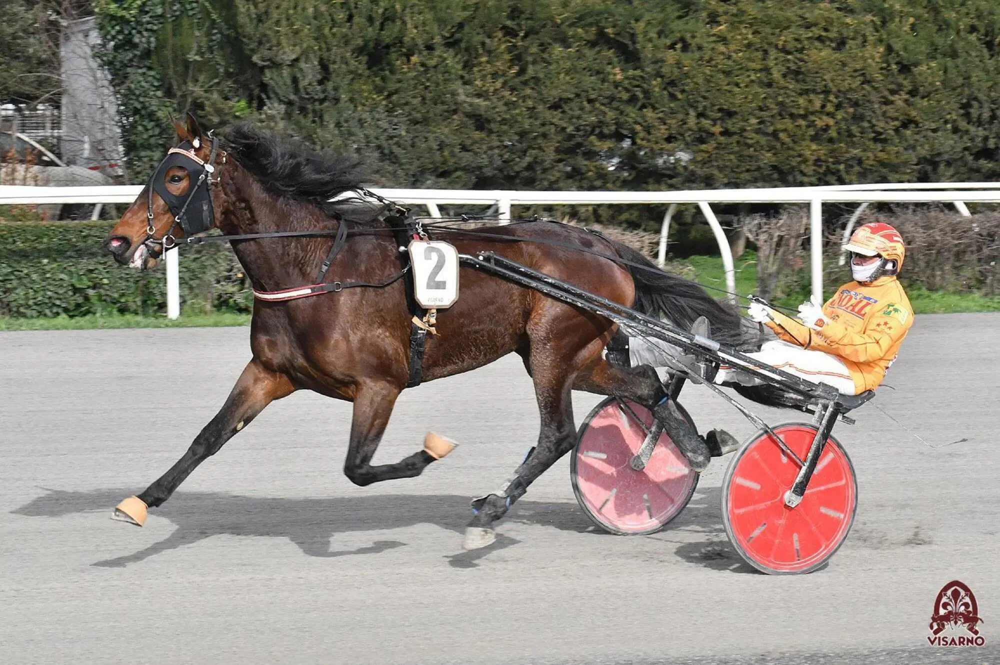 20250705 115900209 4500