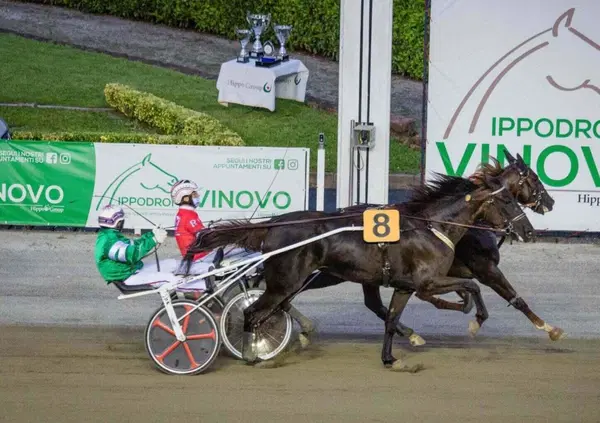 DIAMOCI ALL'IPPICA! I bookmaker disperati: Dakovo Mail trionfa da sfavorito, ma come ha fatto? E si replica al Citt&agrave; di Napoli con 24 cavalli in pista: perch&eacute; tutti parlano di Giacomo Mail?