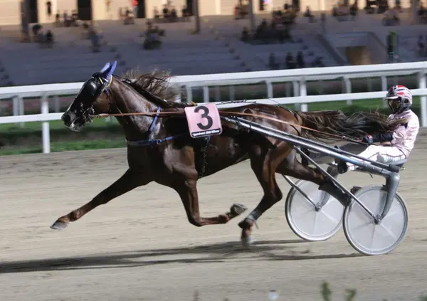 DIAMOCI ALL'IPPICA! Scopri perch&eacute; il Citt&agrave; di Napoli &egrave; stato il miglior spettacolo dell&rsquo;anno! Chi ha vinto meritava? I bookmaker ci avevano azzeccato. E a Montecatini Terme...