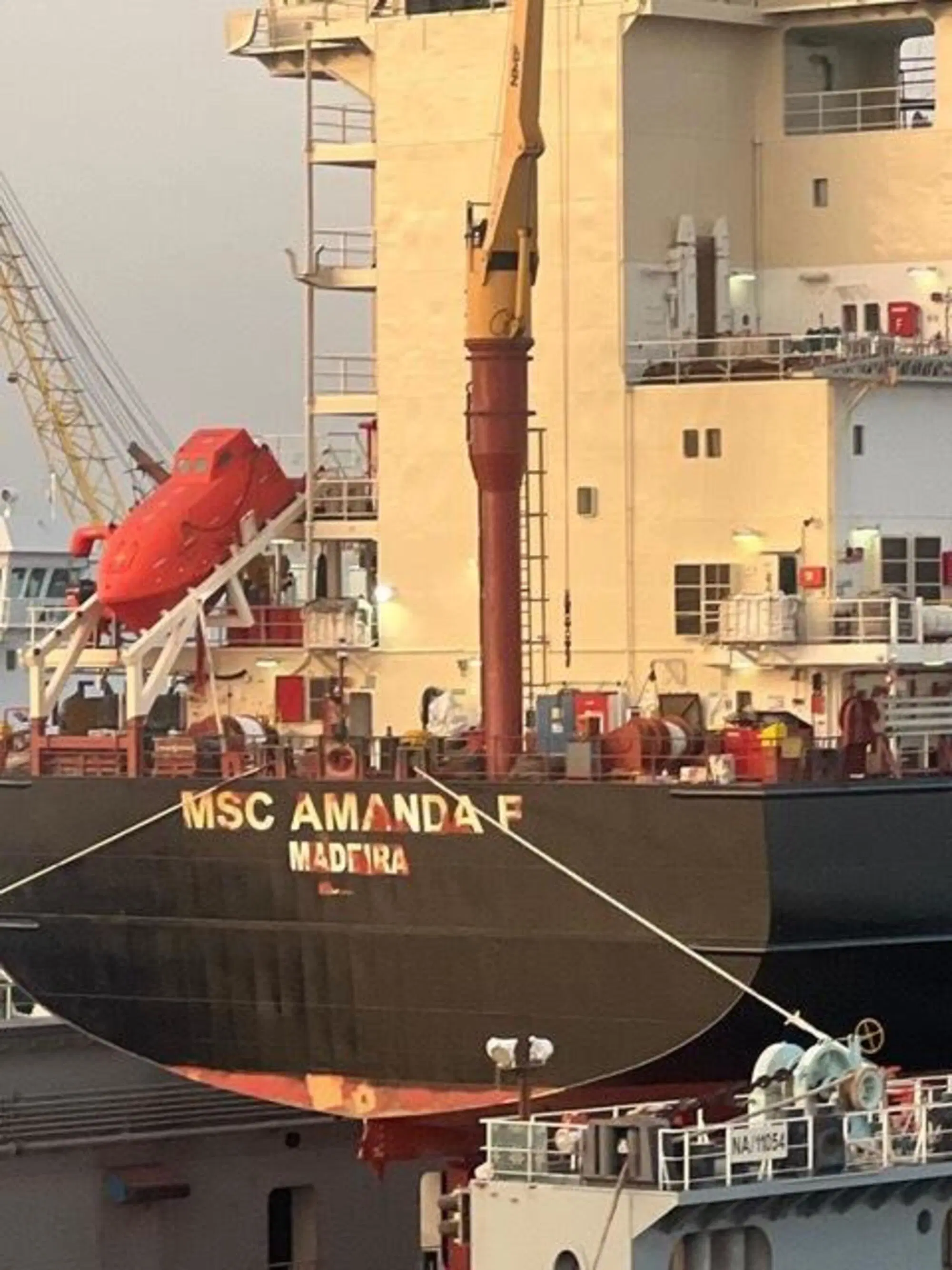 Il cargo con il nome di Amanda Feilding al porto di Napoli