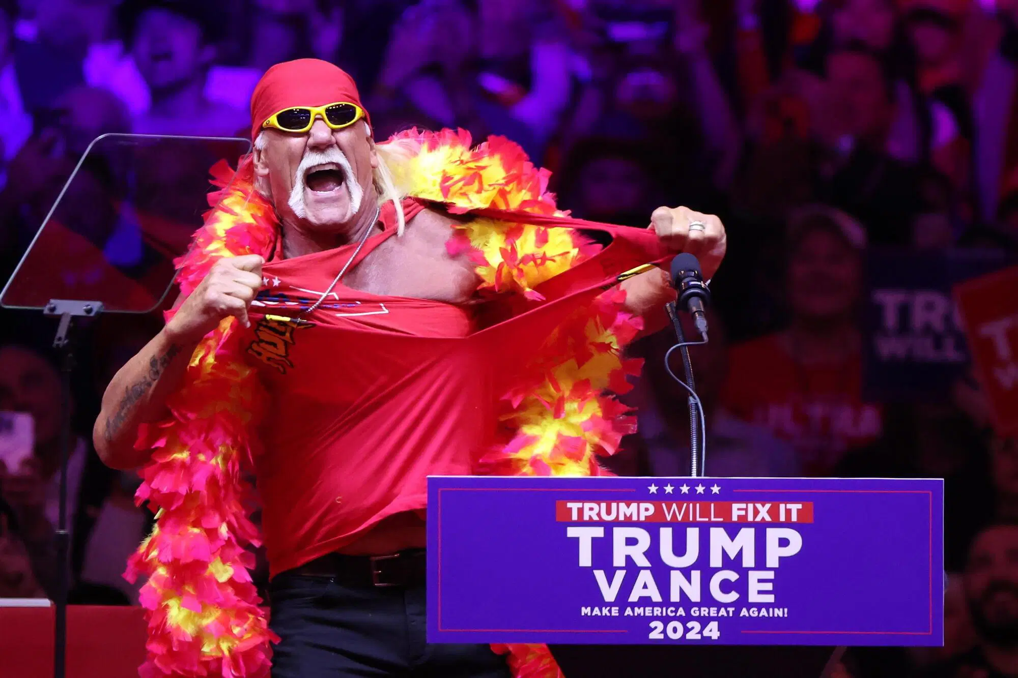 Hulk Hogan 