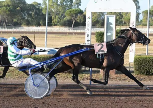 DIAMOCI ALL'IPPICA! Lo show si sposta a Taranto: arriva il Gran Premio Due Mari. Ma quanti soldi ci sono in palio? E i favoriti e le possibili sorprese...