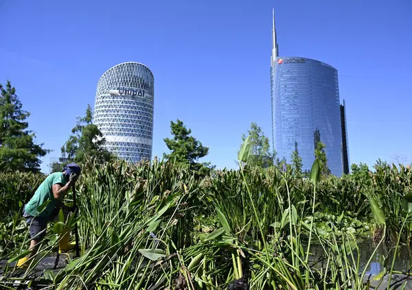 Mentre i Ceo giocano a Risiko, i risparmiatori restano senza banche? Intanto Nagel (Mediobanca) chiede aiuto a BlackRock per l&rsquo;Ops su Generali e Castagna (Bpm) forse punta a Mps, ma UniCredit?