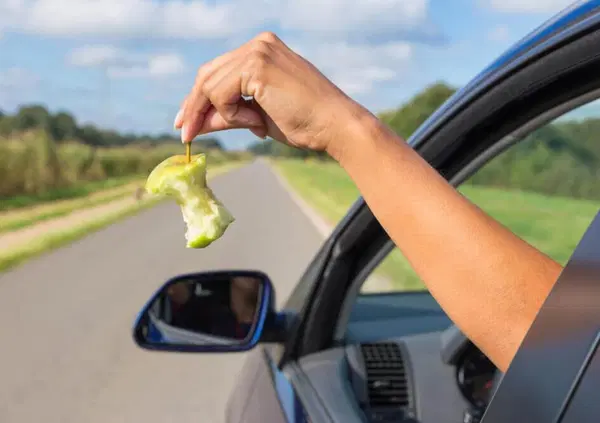 HOT WHEELS. Ma davvero ti possono arrestare se butti qualcosa dal finestrino dell'auto? Ecco la nuova legge (e le multe e punizioni pesanti) per chi lancia rifiuti dal finestrino: ma funzioner&agrave;? E come?