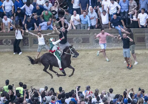 Ma quali maltrattamenti: il Palio di Siena &egrave; amore puro, e il cavallo &egrave; una divinit&agrave;. Ecco perch&egrave; pu&ograve; essere crudele, ma per i fantini. Gingillo e Valdimontone vincono una gara magistrale