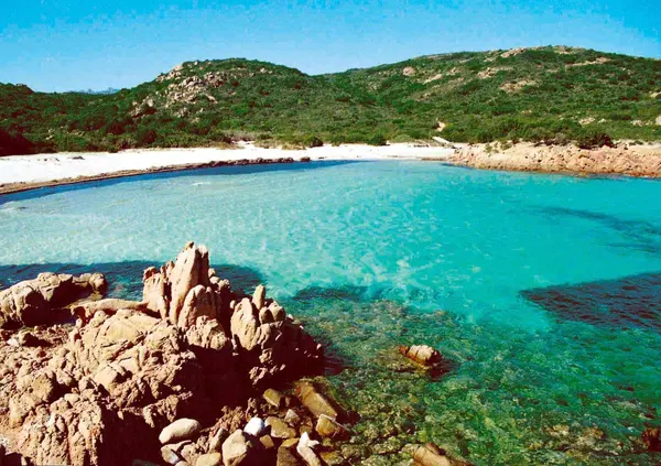 EMERGENZA TURISMO IN SARDEGNA: Ma cosa &egrave; successo a La Maddalena? Altro che &ldquo;Spiaggia sabbiosa, selvaggia e incontaminata&rdquo;, vi spieghiamo come l&rsquo;hanno ridotta tra tende, sdrai e ombrelloni ammucchiati