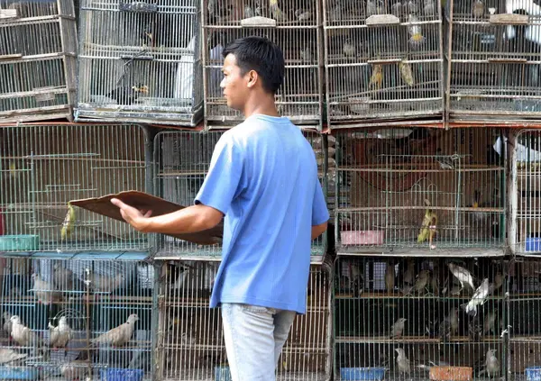 Il turismo alternativo di MOW? Siamo stati in &ldquo;vacanza&rdquo; nel mercato degli uccelli di Hong Kong! Tra rischi di nuove epidemie (aviaria), ecco come funziona e perch&eacute; &egrave; una bomba sanitaria