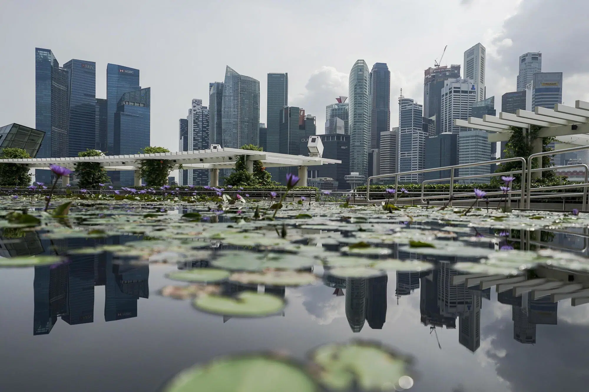Singapore adotta una politica di tolleranza zero su reati di ogni tipo: persino i piccoli furti nei negozi vengono puniti con estrema severit&agrave;