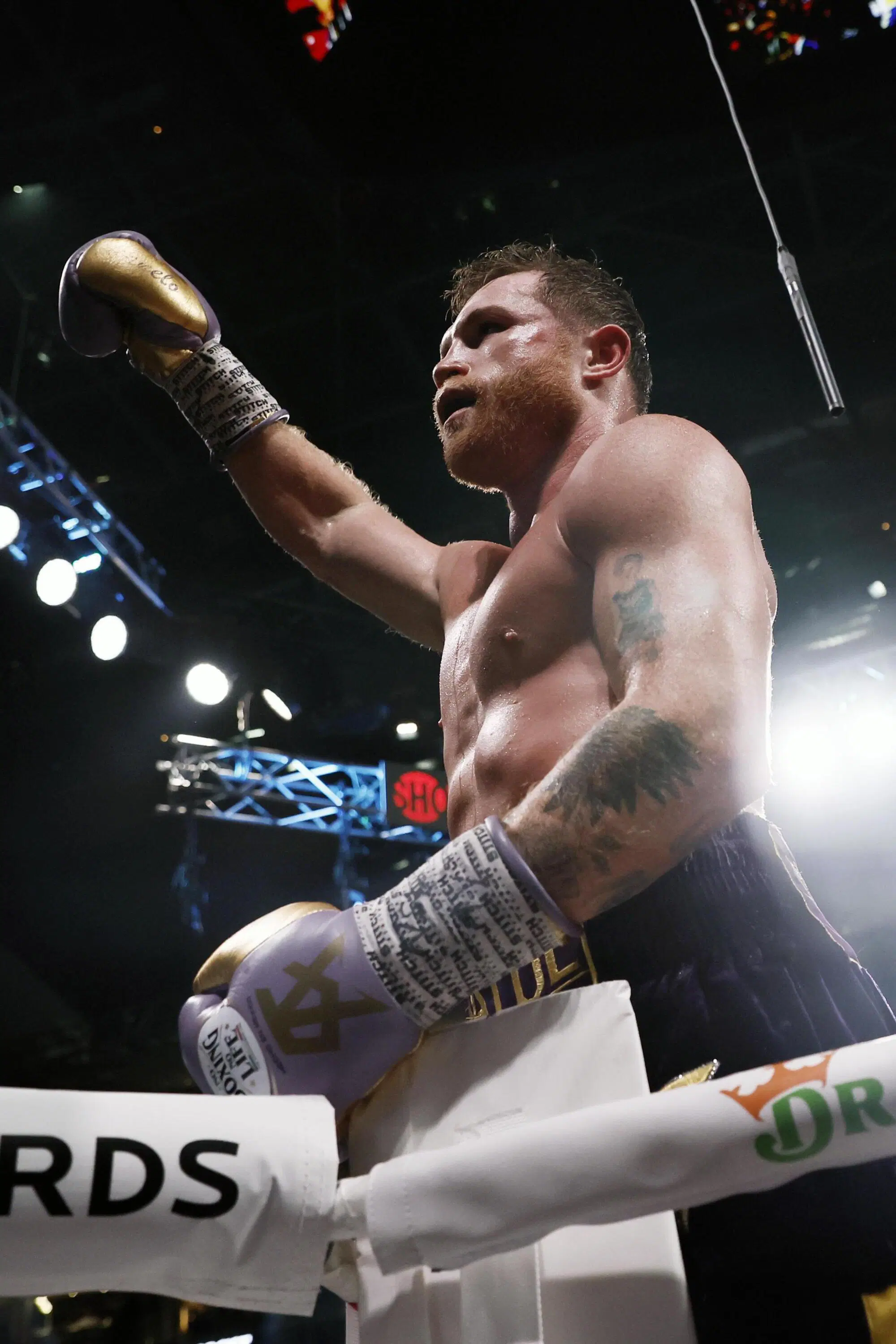 Canelo, il pugile "incontrista"