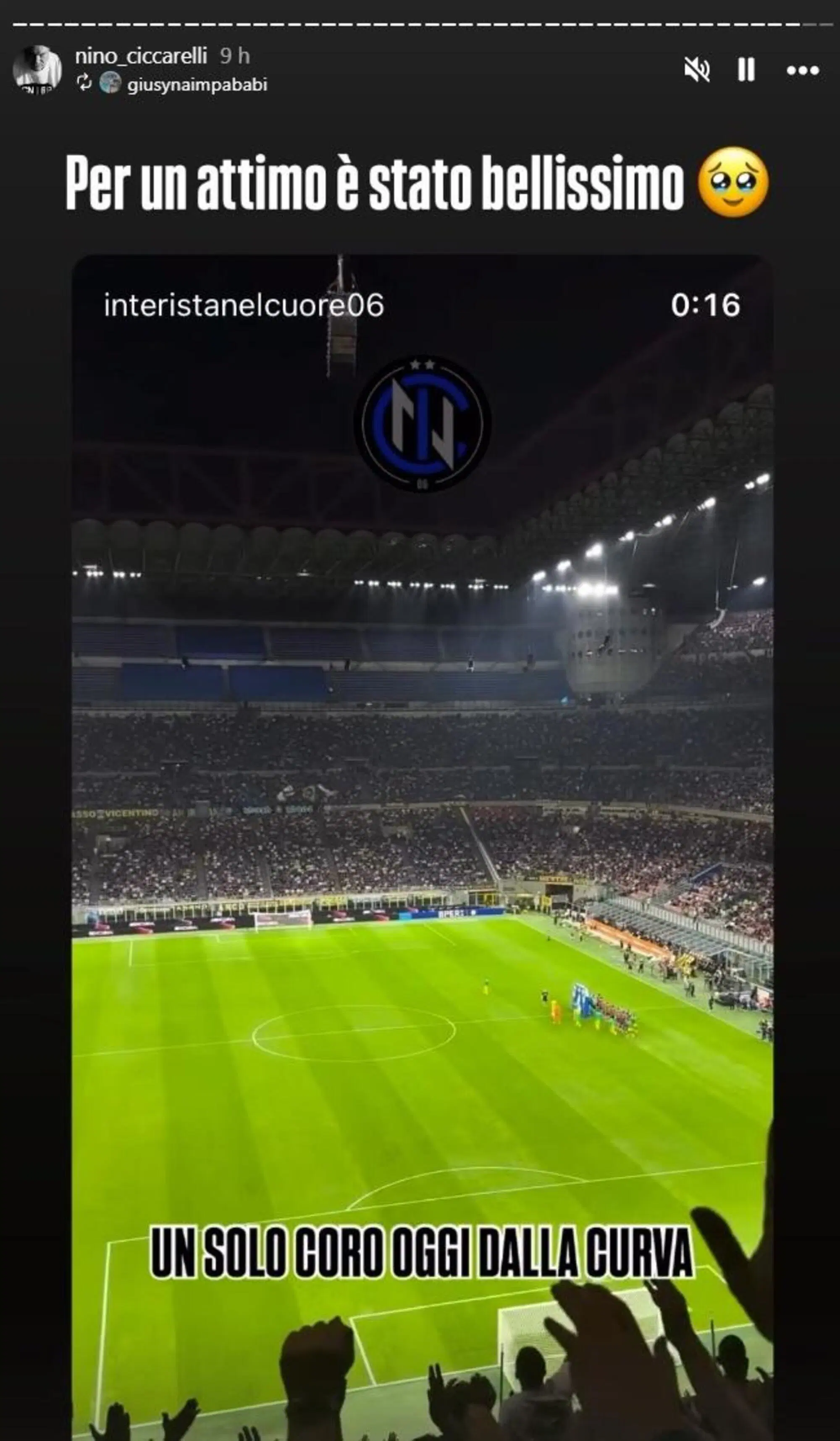 Un solo coro dalla Nord, per Chivu