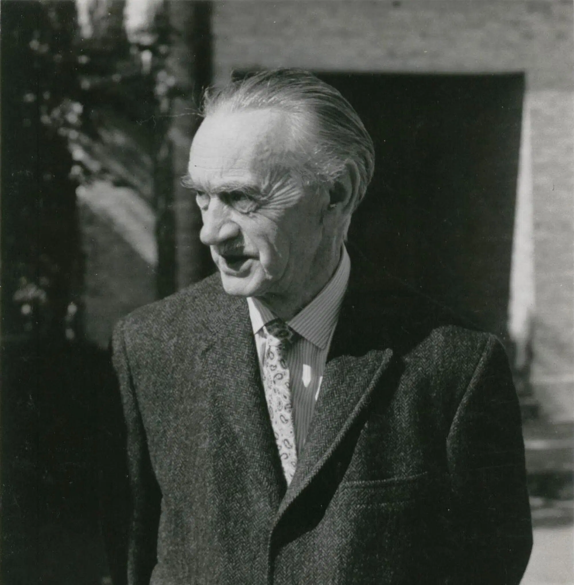 Carl Schmitt