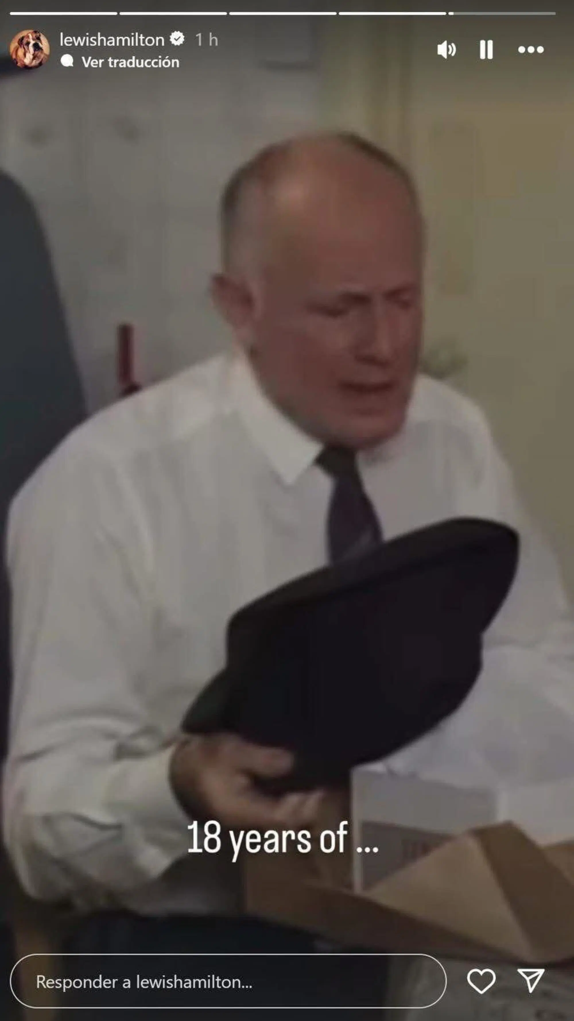 Hamilton Alonso Dissing