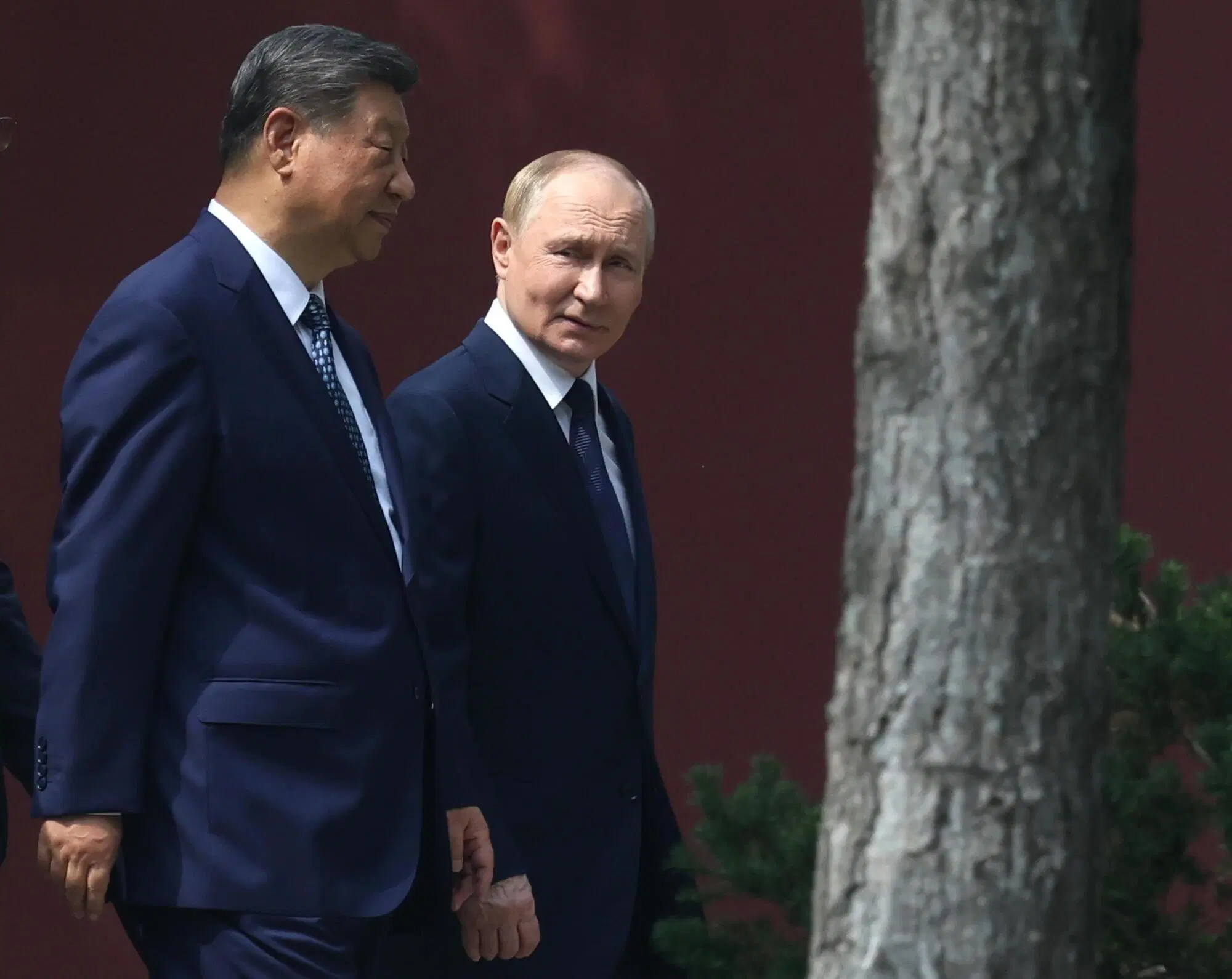 Xi e Putin