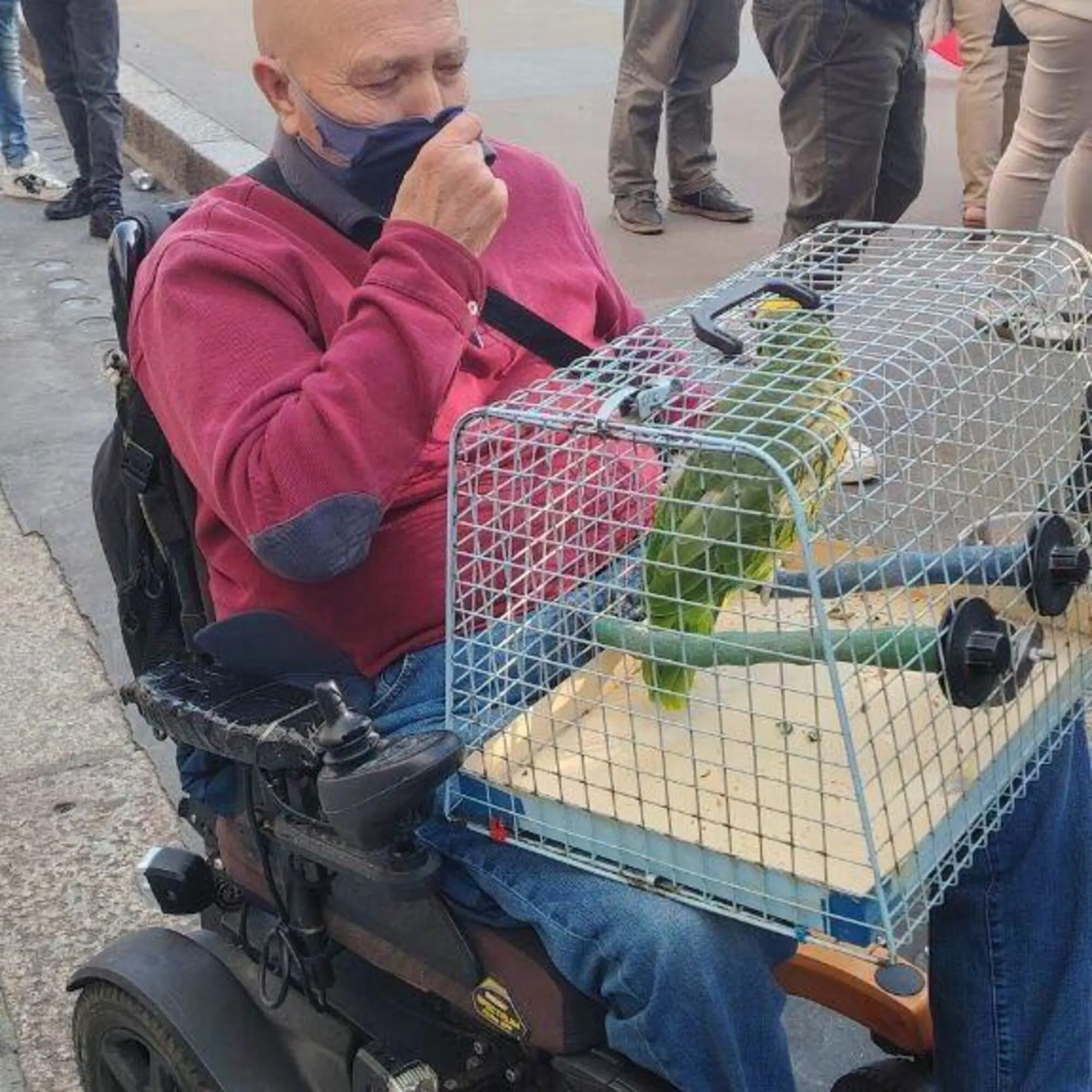 Francesco ex 007 con il suo pappagallo Andrea