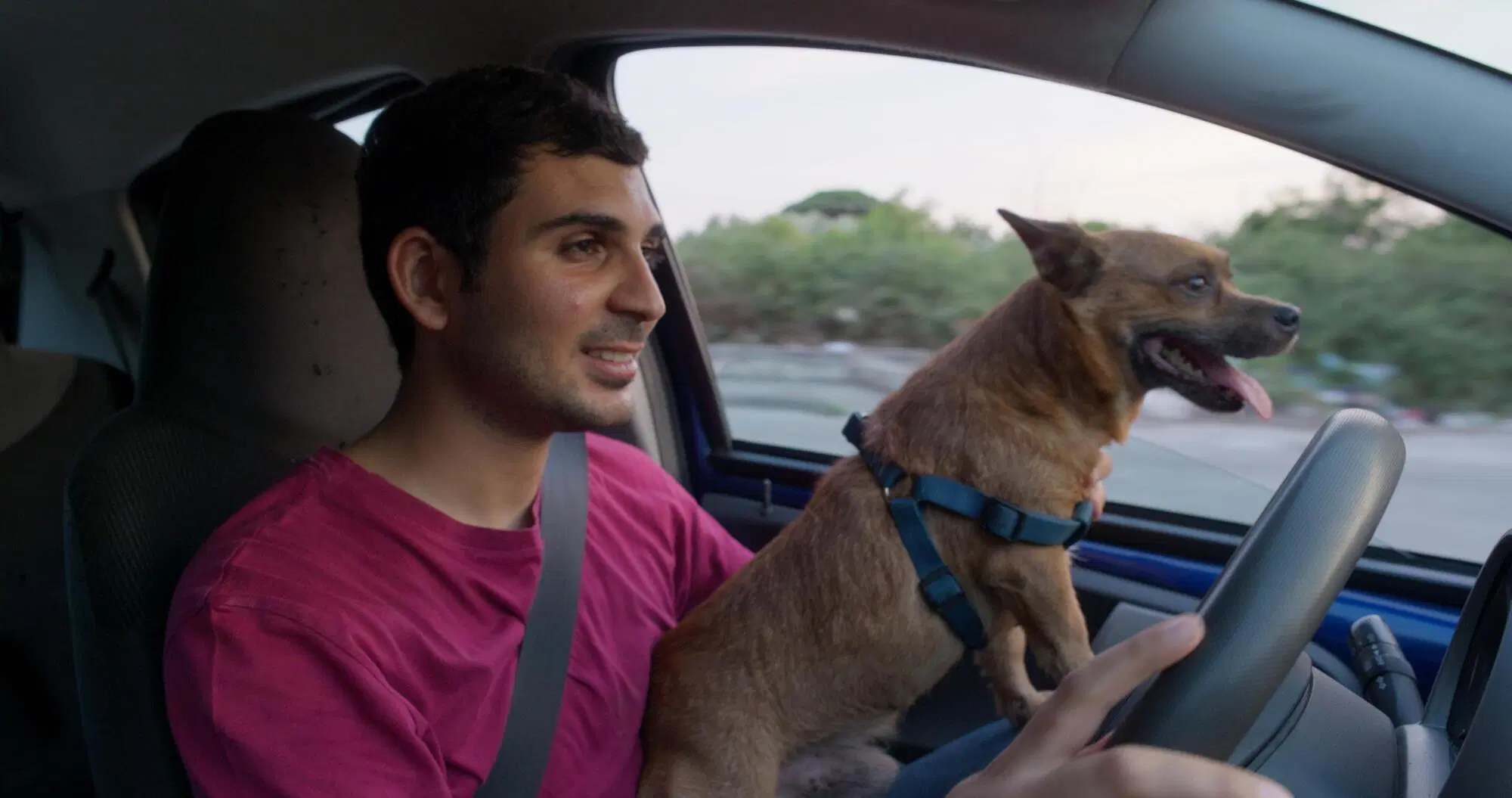 Alberto Palmiero in Tienimi presente