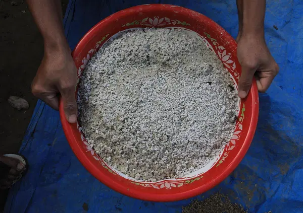 Se volete capire il sistema Pavia del caso Garlasco dell'imprenditore del riso Fabio Aschei dovete sapere. Ecco la sua storia tra servizi segreti, criminalit&agrave; e quei nomi che&nbsp;tornano&nbsp;sempre