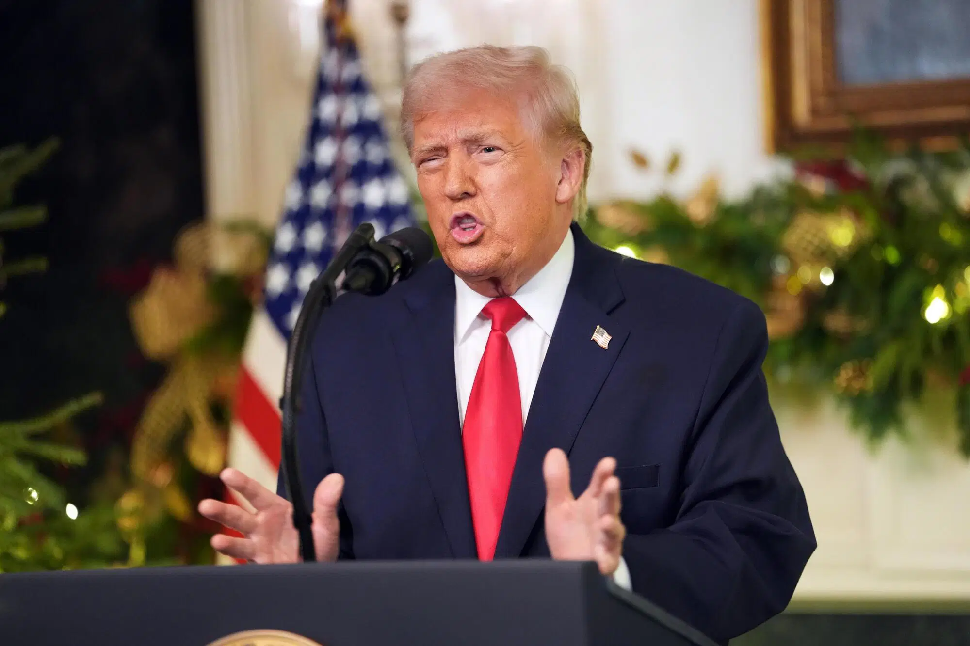 Donald Trump Ansa