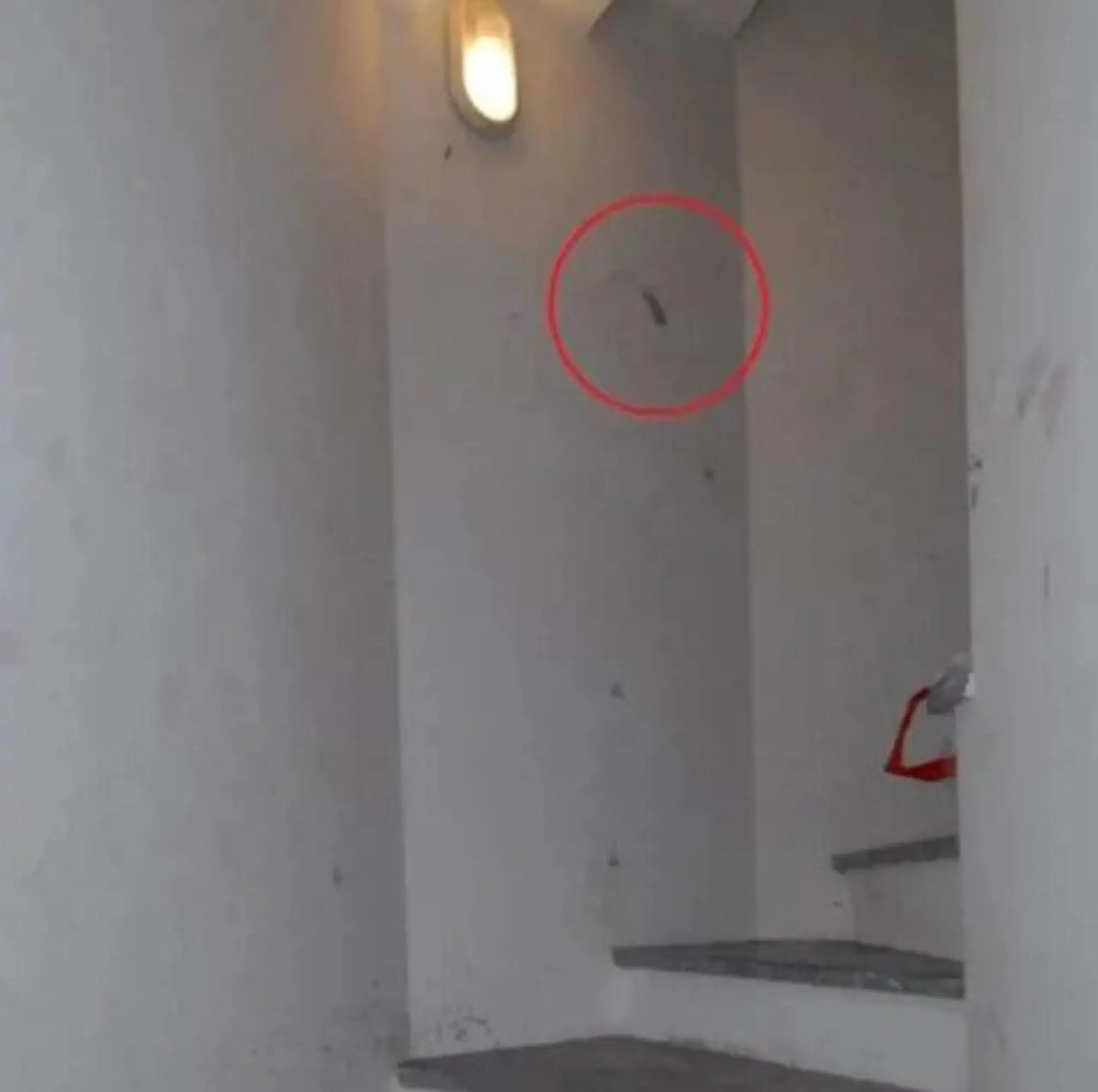 20251221 223729029 3975