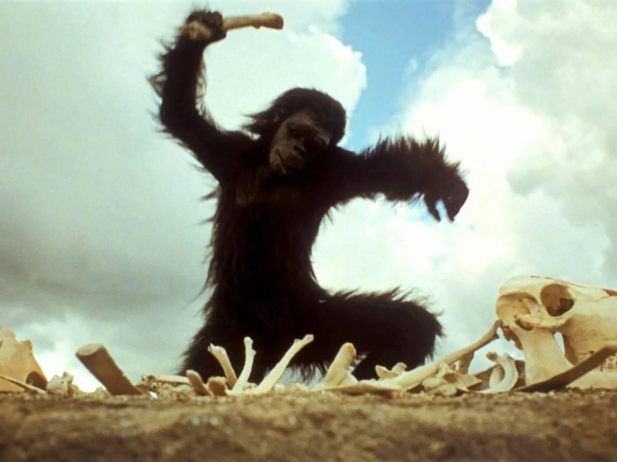 20251225 145054380 7200