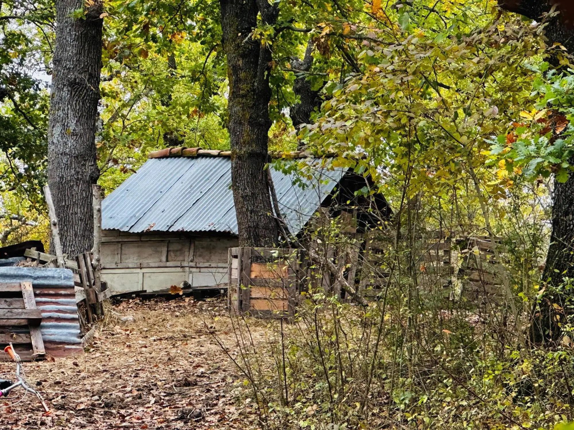 La casa nel bosco vicino a Chieti della famiglia 