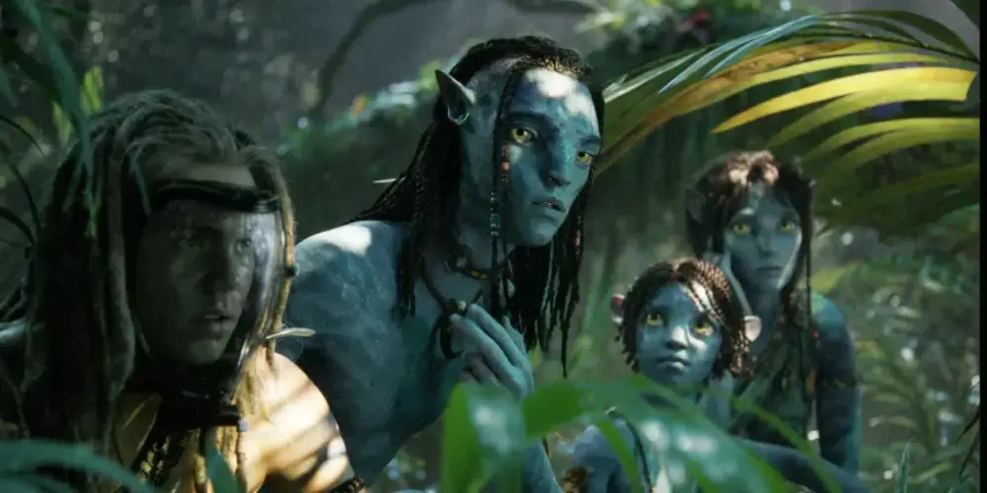 Avatar