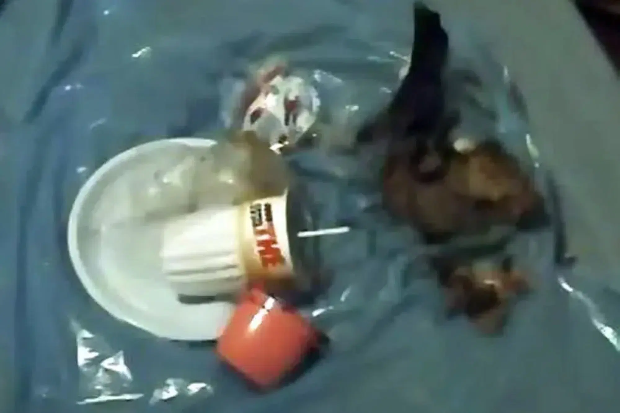 20260114 112126260 9949