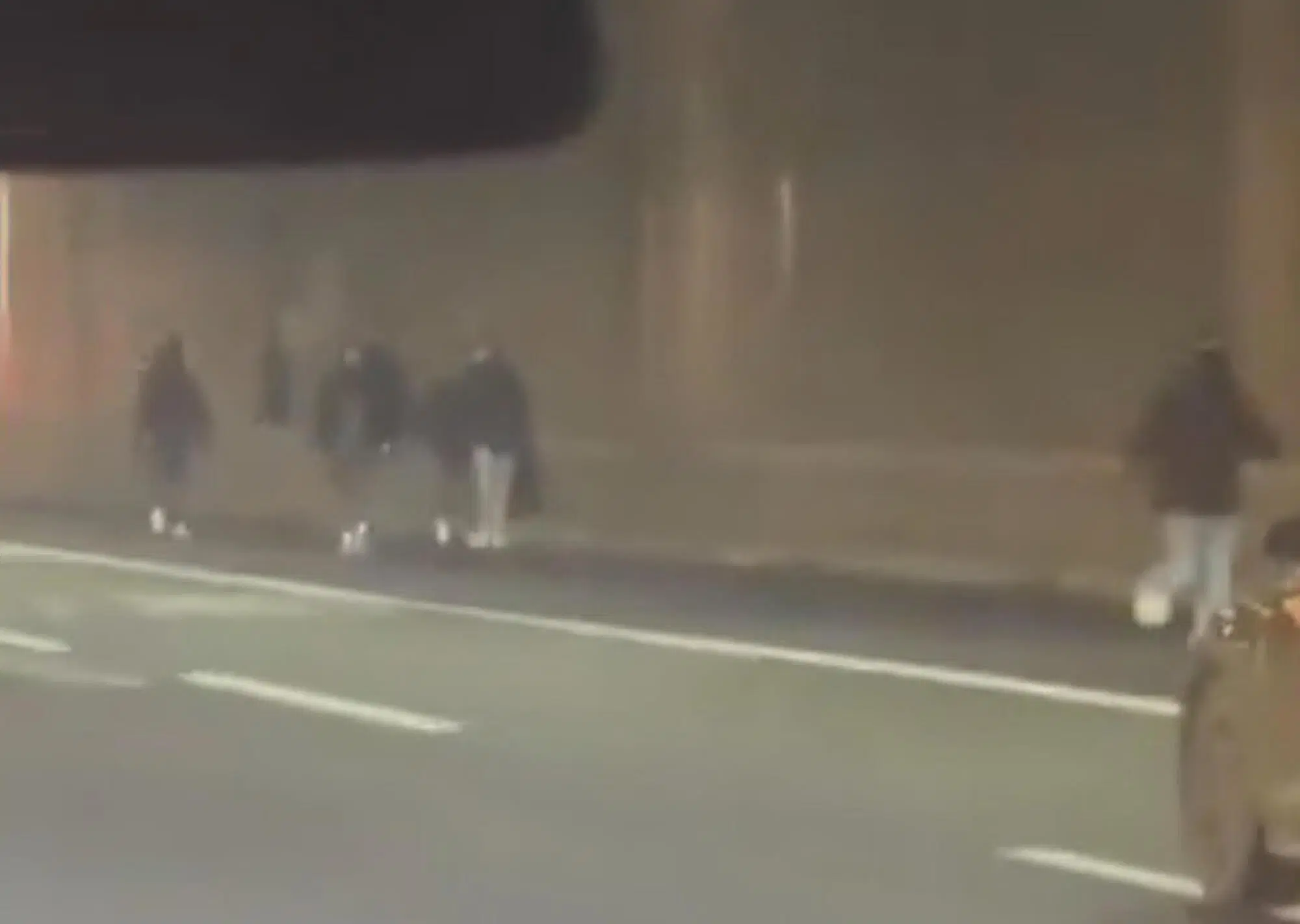 Gli ultras sull'A1